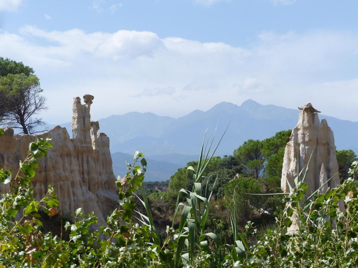 Bed and Breakfast Mas Uranie Le Soler Exterior foto